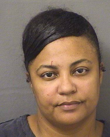  DANIELLE ALICIA WRIGHT Results from Palm Beach County Florida for  DANIELLE ALICIA WRIGHT