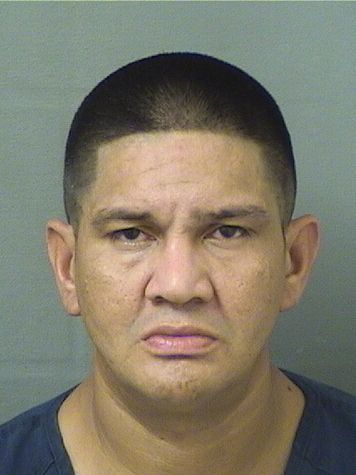  ALEXIS JOSE SOTO Results from Palm Beach County Florida for  ALEXIS JOSE SOTO