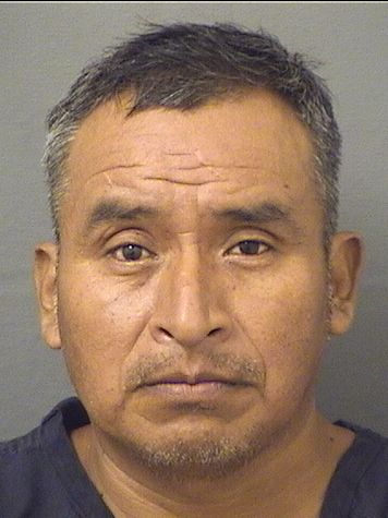  ROBERTO VELASQUEZ RAMIREZ Results from Palm Beach County Florida for  ROBERTO VELASQUEZ RAMIREZ