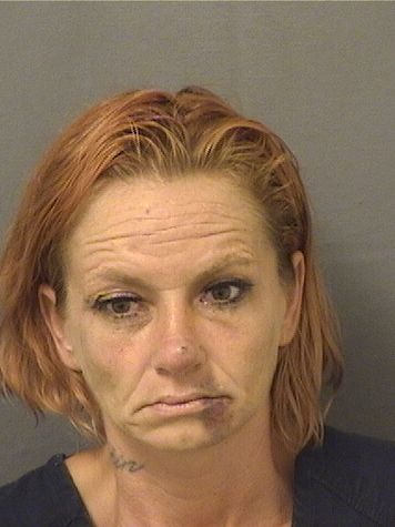  RHONDA E JOHNSON Results from Palm Beach County Florida for  RHONDA E JOHNSON