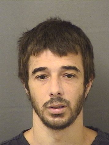  VINCENT MICHAEL CAPONE Results from Palm Beach County Florida for  VINCENT MICHAEL CAPONE