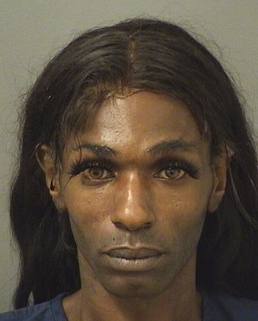  TAVIAN CANADY Results from Palm Beach County Florida for  TAVIAN CANADY