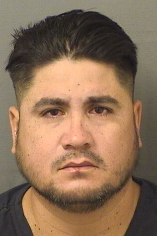  JUAN CARLOS CRUZ Results from Palm Beach County Florida for  JUAN CARLOS CRUZ