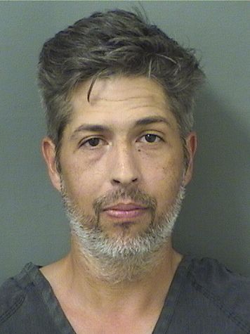  DANIEL MARK MEDEL Results from Palm Beach County Florida for  DANIEL MARK MEDEL