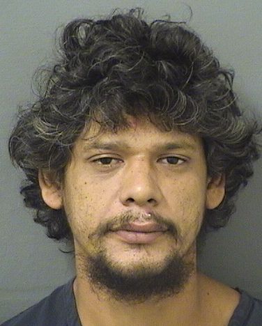  JULIAN BAZAN Results from Palm Beach County Florida for  JULIAN BAZAN