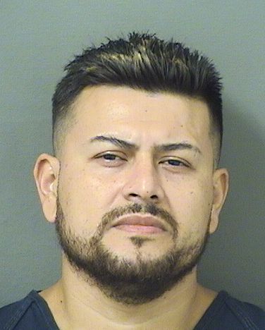  ISLANDER VILLANUNEZ Results from Palm Beach County Florida for  ISLANDER VILLANUNEZ