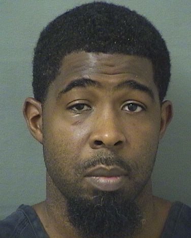  JERRYL LEMARC JOHNSON Results from Palm Beach County Florida for  JERRYL LEMARC JOHNSON