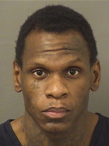  BRANDON STEVEN RAYMONVIL Results from Palm Beach County Florida for  BRANDON STEVEN RAYMONVIL