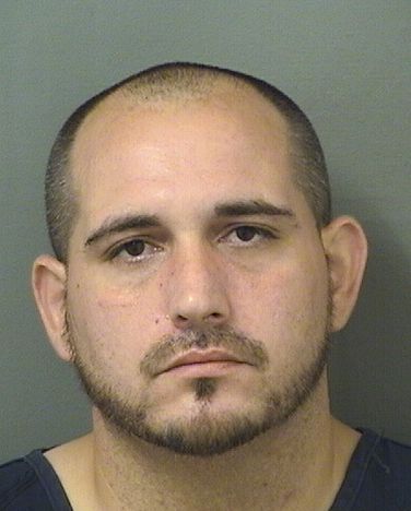  ANDREW ENRIQUE RODRIGUEZ Results from Palm Beach County Florida for  ANDREW ENRIQUE RODRIGUEZ