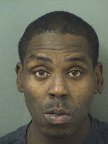  MICHAEL BERNARD WOODS Results from Palm Beach County Florida for  MICHAEL BERNARD WOODS