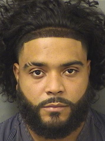  JESUS ALBERTO MARTINEZHERNANDEZ Results from Palm Beach County Florida for  JESUS ALBERTO MARTINEZHERNANDEZ