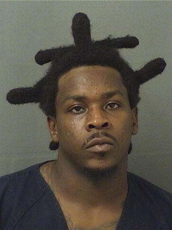  RAYMOND GAVIN JOHNSON Results from Palm Beach County Florida for  RAYMOND GAVIN JOHNSON