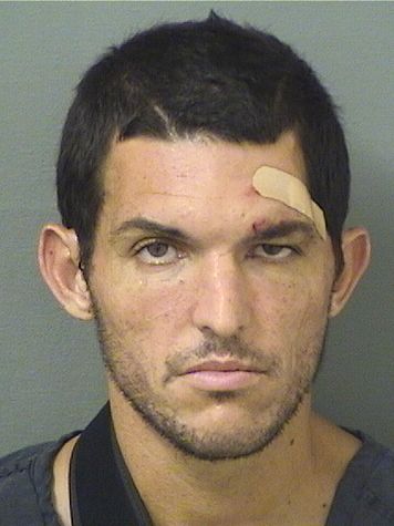  ALEXANDER JASON REINER Results from Palm Beach County Florida for  ALEXANDER JASON REINER