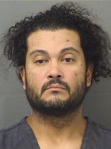  ASHLEY WALSH BARTO Results from Palm Beach County Florida for  ASHLEY WALSH BARTO