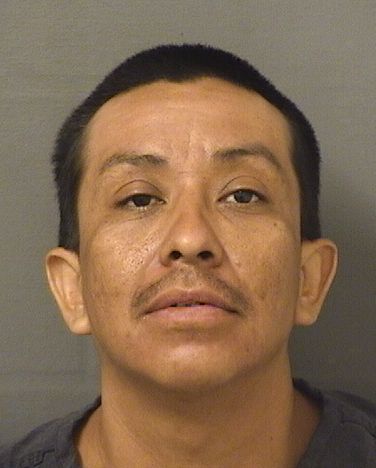  JUAN MIGUEL RAMIREZ Results from Palm Beach County Florida for  JUAN MIGUEL RAMIREZ