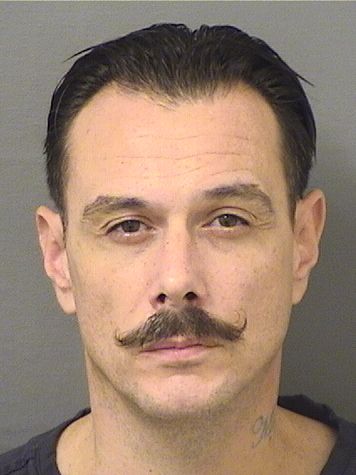  JOHN MARIO DIGIOVANNI Results from Palm Beach County Florida for  JOHN MARIO DIGIOVANNI