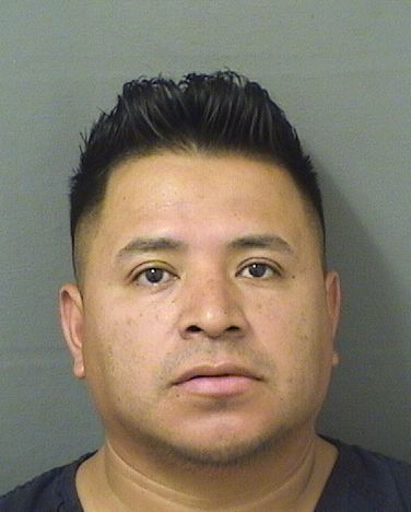  ROGELIO ALEGRE MARTIN Results from Palm Beach County Florida for  ROGELIO ALEGRE MARTIN