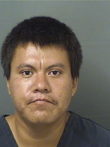  WALNER VELASQUEZLOPEZ Results from Palm Beach County Florida for  WALNER VELASQUEZLOPEZ