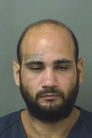  MARK ANTHONY AFANADOR Results from Palm Beach County Florida for  MARK ANTHONY AFANADOR