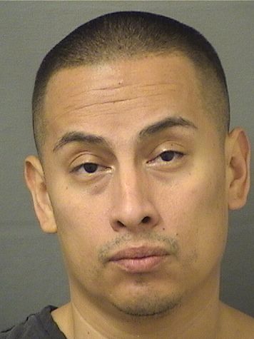  EDER J VILLAMOR Results from Palm Beach County Florida for  EDER J VILLAMOR