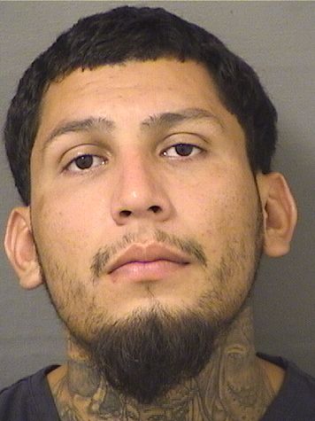  RUBEN ARIAS Results from Palm Beach County Florida for  RUBEN ARIAS