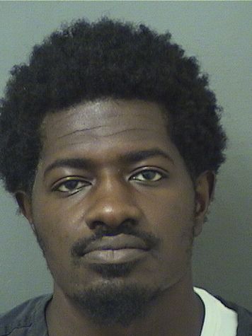  ROODNER PIERRE Results from Palm Beach County Florida for  ROODNER PIERRE