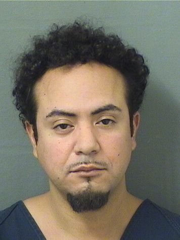  JOSE ANGELANDREW SANCHEZ Results from Palm Beach County Florida for  JOSE ANGELANDREW SANCHEZ