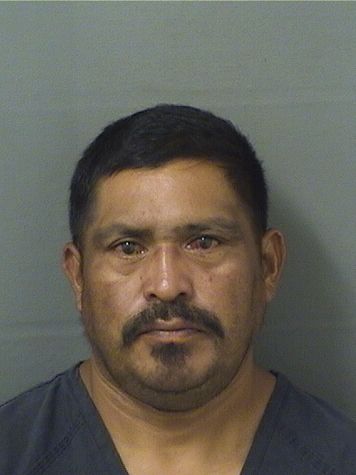  JOSE RUIZCOREAS Results from Palm Beach County Florida for  JOSE RUIZCOREAS