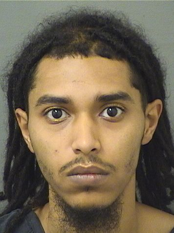  REGINALD TERRANCE J GLASS Results from Palm Beach County Florida for  REGINALD TERRANCE J GLASS