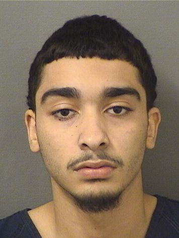  ANTHONY LOUIS ESQUIABRO Results from Palm Beach County Florida for  ANTHONY LOUIS ESQUIABRO
