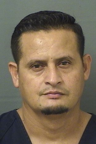  DENNIS MAURICIO MURILLOLOBO Results from Palm Beach County Florida for  DENNIS MAURICIO MURILLOLOBO