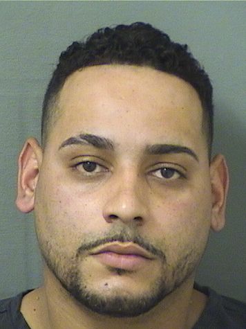  REINALDO CRESPO Results from Palm Beach County Florida for  REINALDO CRESPO