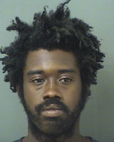  MICHAEL ANTOINE GAD Results from Palm Beach County Florida for  MICHAEL ANTOINE GAD