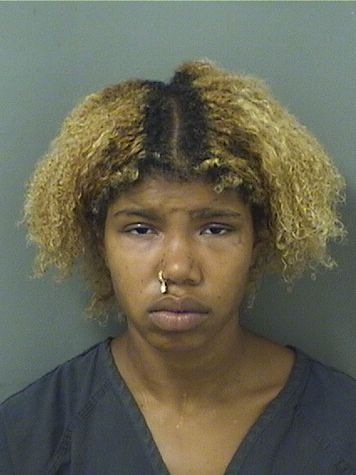  AMANDA CHENYA ABRAHAM Results from Palm Beach County Florida for  AMANDA CHENYA ABRAHAM