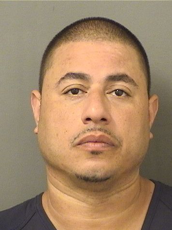  DAVID LUIS RIVERA Results from Palm Beach County Florida for  DAVID LUIS RIVERA