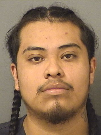  NICOLAS FELICIANO CRUZ Results from Palm Beach County Florida for  NICOLAS FELICIANO CRUZ