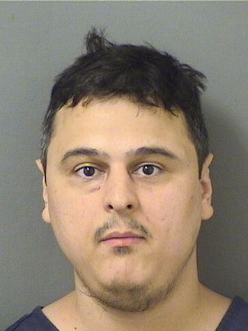  FRANCO STEFAN DEWALL Results from Palm Beach County Florida for  FRANCO STEFAN DEWALL