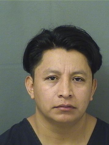  NICASIO NOMBERTO VICENTE Results from Palm Beach County Florida for  NICASIO NOMBERTO VICENTE
