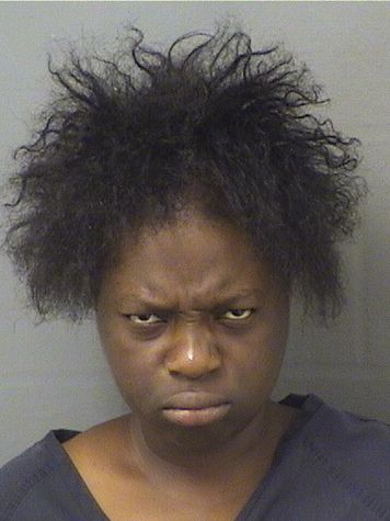  IMMACULEE JOSEFHINE JEAN Results from Palm Beach County Florida for  IMMACULEE JOSEFHINE JEAN
