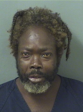  ANDREY ANTHONY GRAY Results from Palm Beach County Florida for  ANDREY ANTHONY GRAY