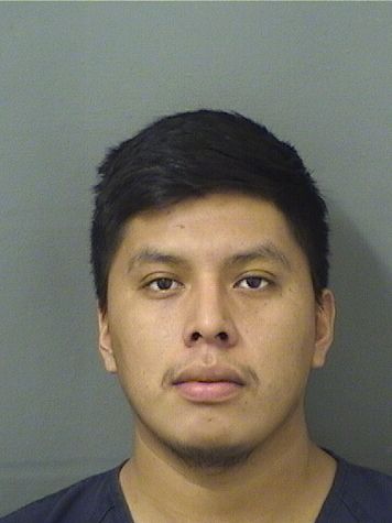  INES SANTIZOGONZALEZ Results from Palm Beach County Florida for  INES SANTIZOGONZALEZ