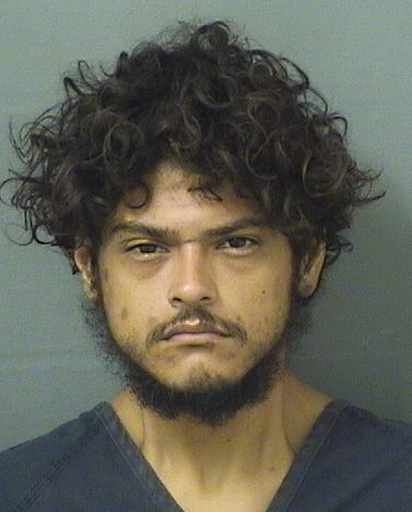  DAVID CORADO Results from Palm Beach County Florida for  DAVID CORADO