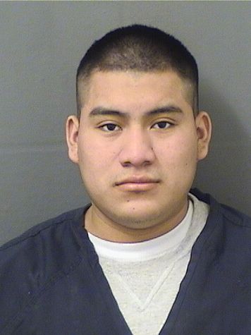  WERNER RAMIREZAGUILAR Results from Palm Beach County Florida for  WERNER RAMIREZAGUILAR