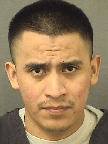  NICOLAS JOSEFRANCISCO Results from Palm Beach County Florida for  NICOLAS JOSEFRANCISCO