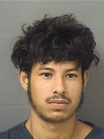  JOSE MIGUEL MEDINARIVERA Results from Palm Beach County Florida for  JOSE MIGUEL MEDINARIVERA