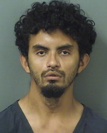  YONATHAN JOEL MONTOYA Results from Palm Beach County Florida for  YONATHAN JOEL MONTOYA