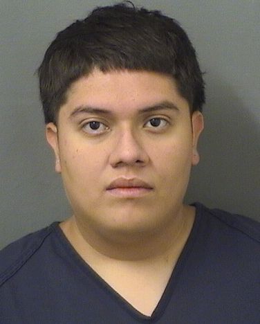  DAVID IVAN BARRERA Results from Palm Beach County Florida for  DAVID IVAN BARRERA