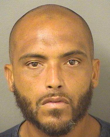  CHRISTOPHER ALBANESE Results from Palm Beach County Florida for  CHRISTOPHER ALBANESE