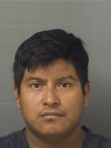  JESUS ISMAEL ROJASDIAZ Results from Palm Beach County Florida for  JESUS ISMAEL ROJASDIAZ