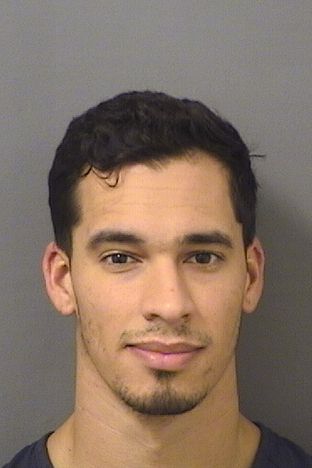  CHRISS KEVIN CASTILLODIAZ Results from Palm Beach County Florida for  CHRISS KEVIN CASTILLODIAZ